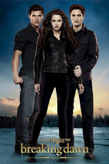Breaking Dawn Part 2 "NEW" Poster Signed by 10